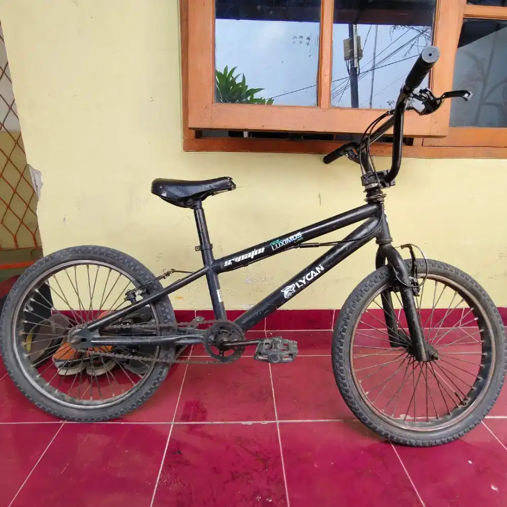 Sepeda BMX Rotor Senator Lycan 20