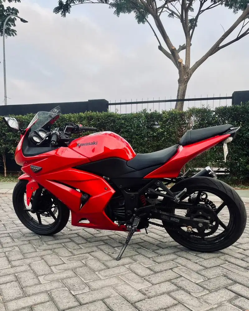 Kawasaki Ninja 250
