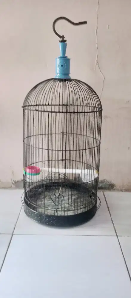 sangkar burung Lovebird