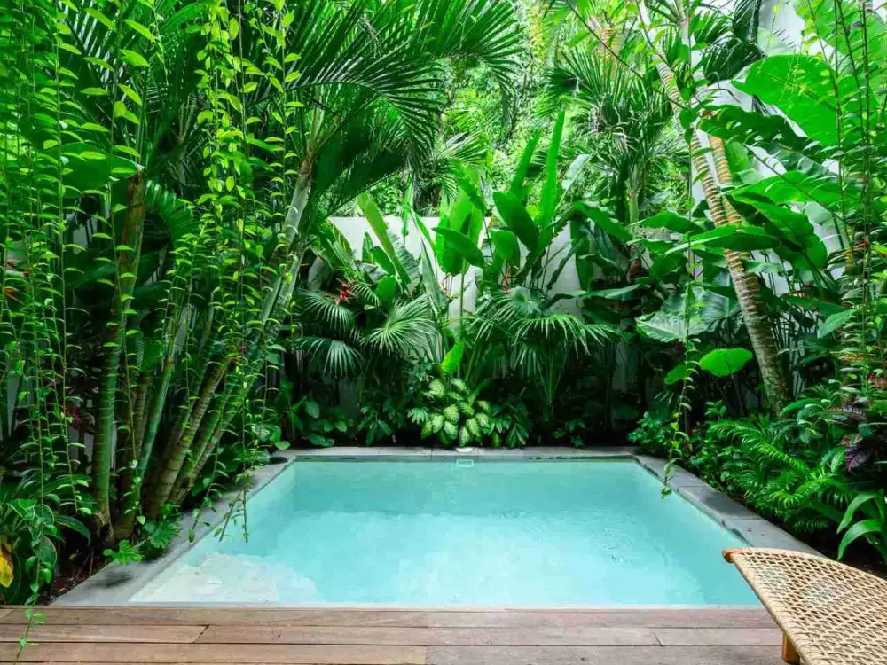 Villa Disewakan di Pungutan Sanur