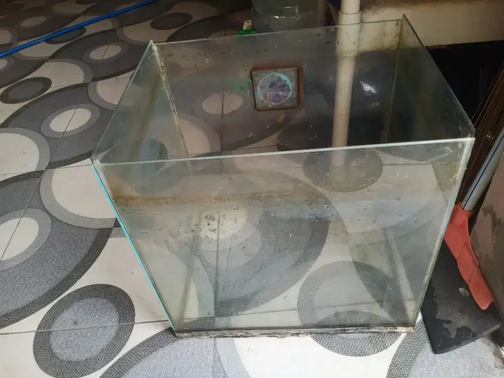 Akurium bekas ikan gurame