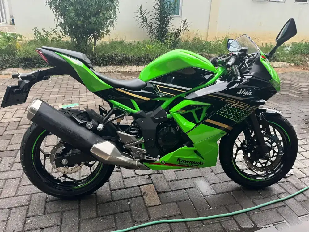 Kawasaki Ninja 250 SL Low KM 500 Perak