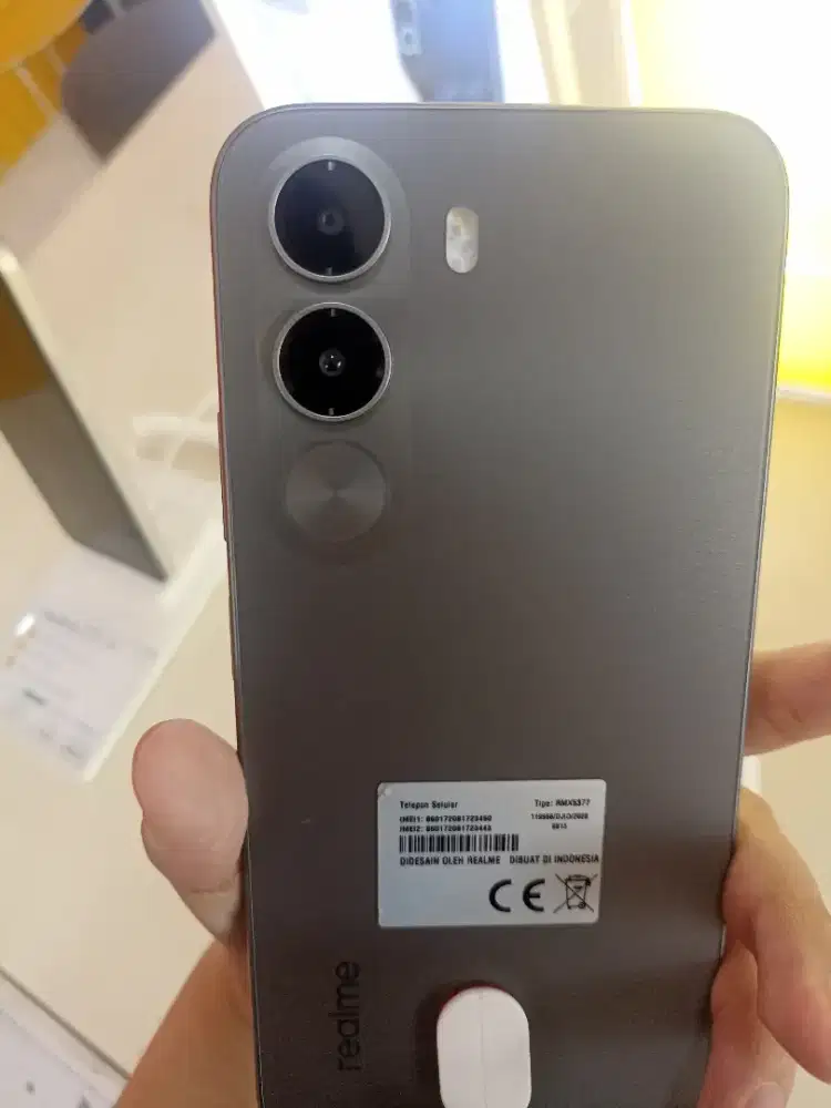 Realme C100i resmi