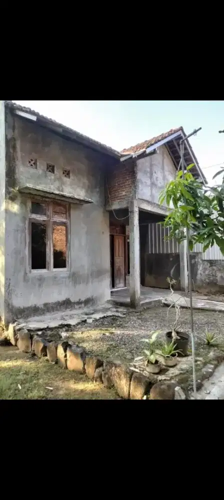 Rumah murah desa rendeng kudus