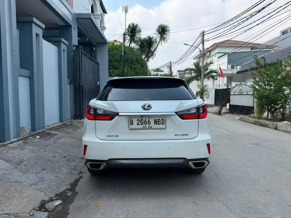 Lexus RX300 Luxury 2018