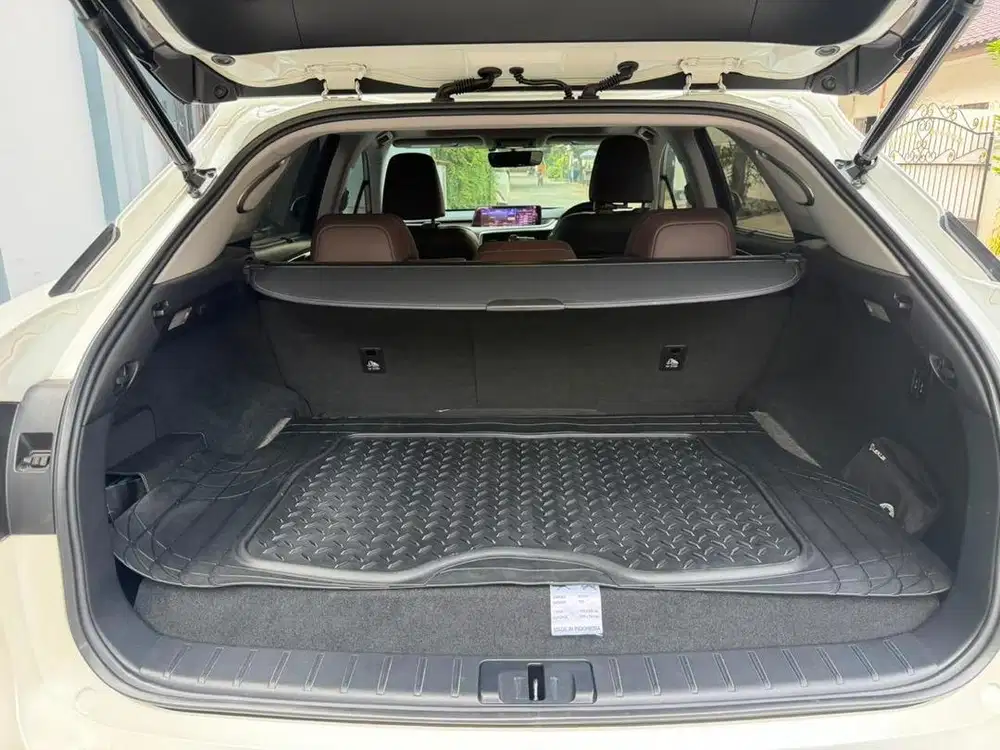 Lexus RX300 Luxury 2018