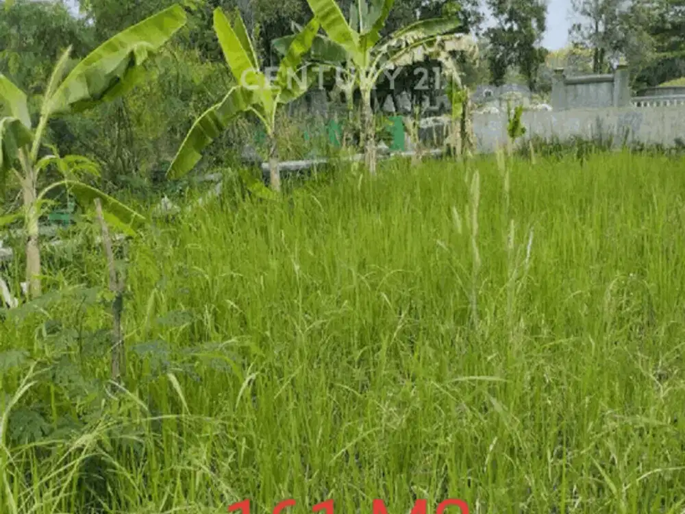 Tanah Untuk Makam Dan Mudah Di Akses Di Gunung Gadung Bogor