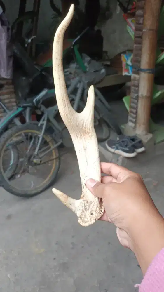 aksesoris / pajangan