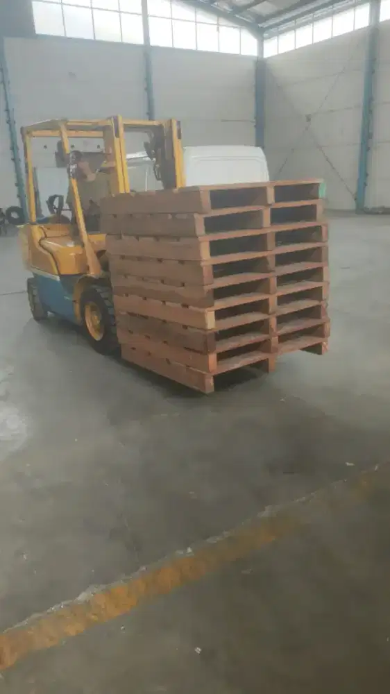 Palet kayu kamper