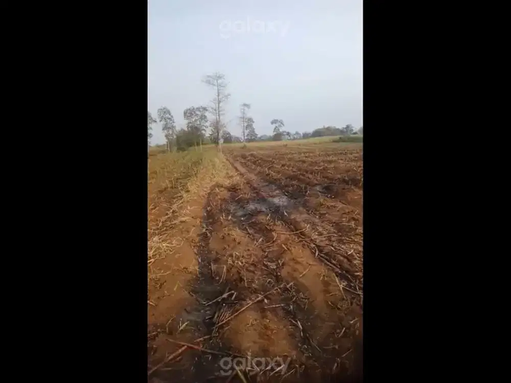 Tanah 3 Ha Desa Ngeneb Karangploso Malang GMK04300