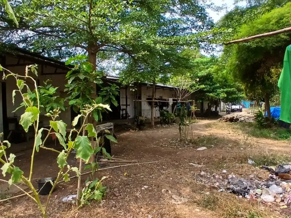 DIJUAL & DISEWAKAN KAVLING DI CILENGGANG BSD