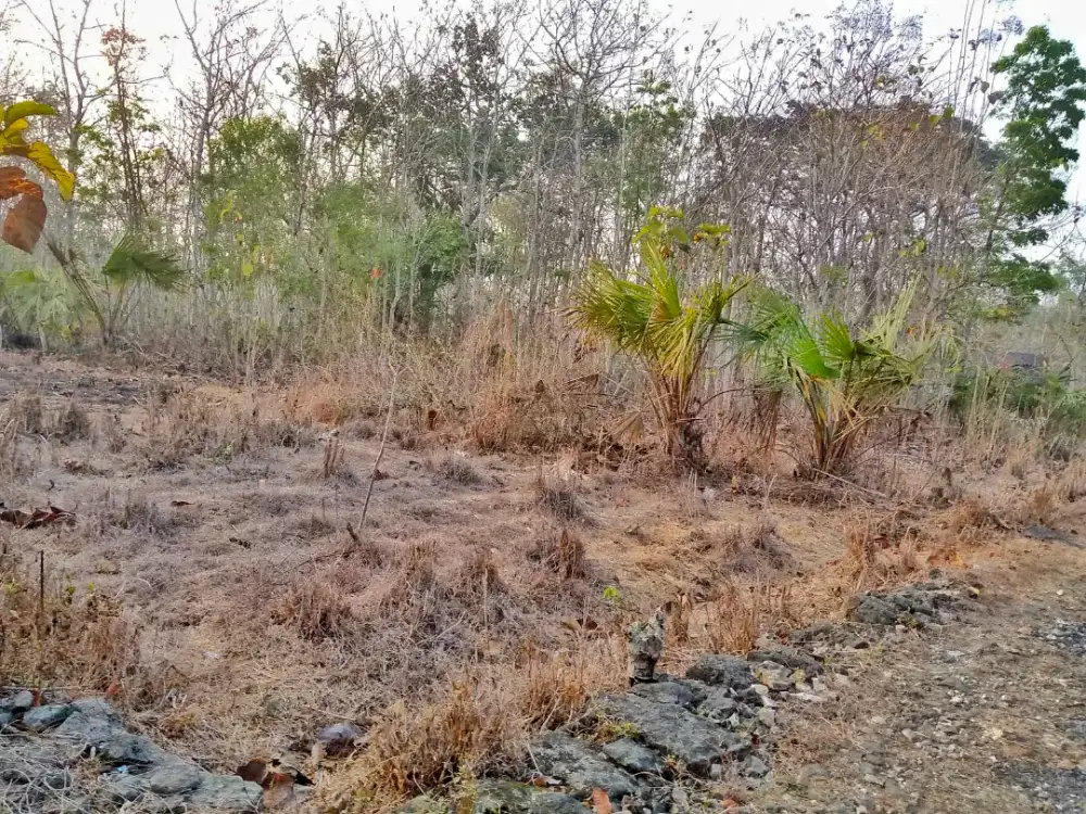 DIJUAL CEPAT SEBIDANG TANAH
