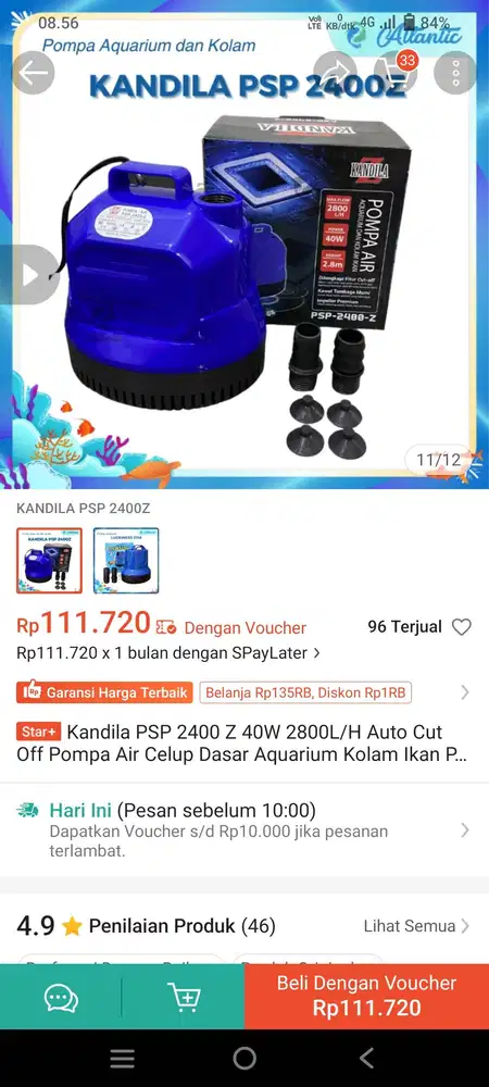 Di jual aja karena udh gak ada aquarium nya nya.