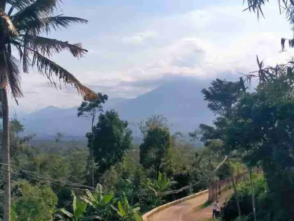 Tanah Subur Asri/sejuk di Ciawi bogor selatan Buat Villa