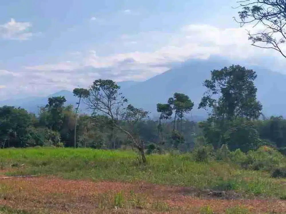 Tanah sejuk view Gunung Buat wisata / Kaplingan pendovo rumh kayu di ciawi bogor selatan