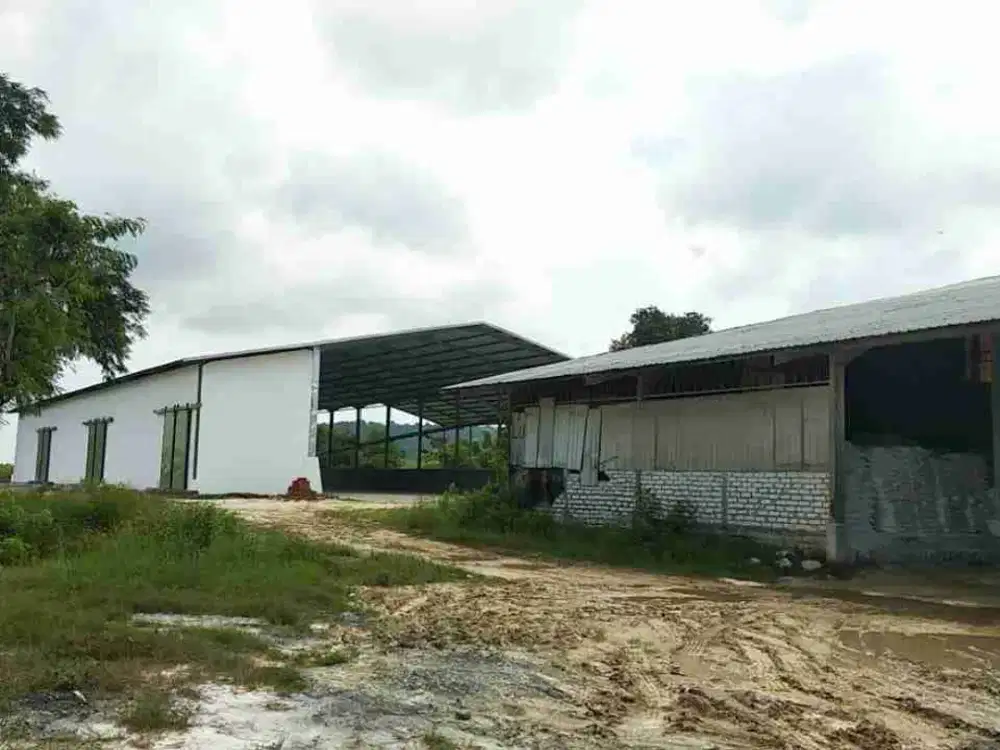 Lelang tanah dan bangunan industri dendles gresik