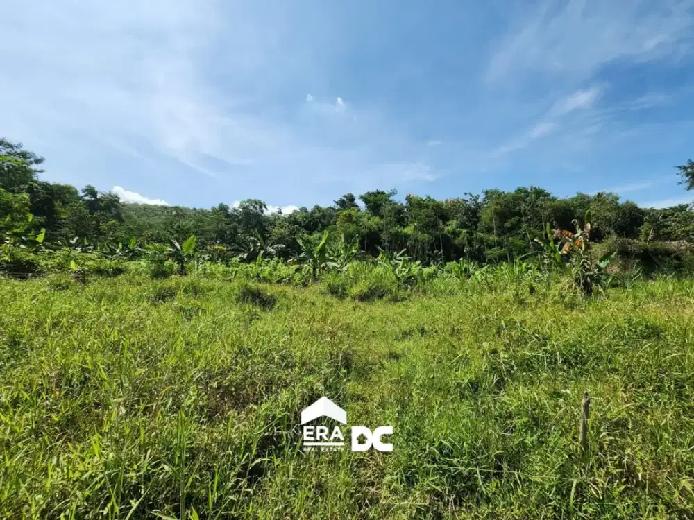 Jual Tanah SHM Bekas Kebun Stroberi Dekat Rawa Pening di Bawen Semarang