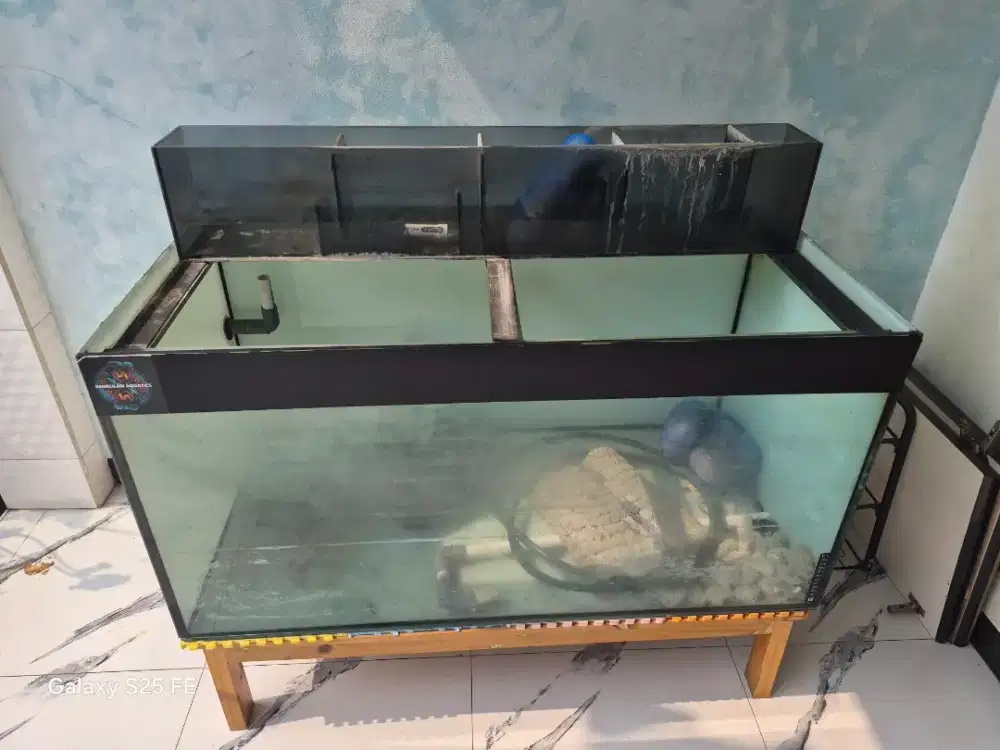 AQUARIUM ARWANA