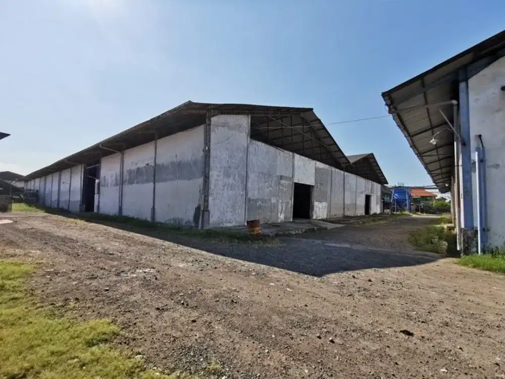 Dijual 3,5 Hektar Ex Pabrik Jl. Bintoro - Gunung Gangsir