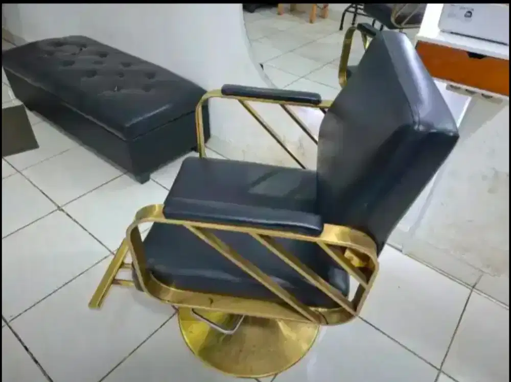 Kursi Salon Delton MF Gold
