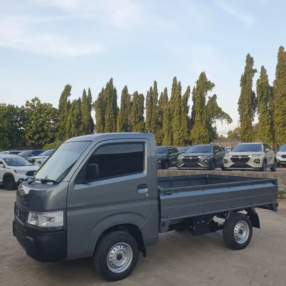 SUZUKI CARRY PICK UP