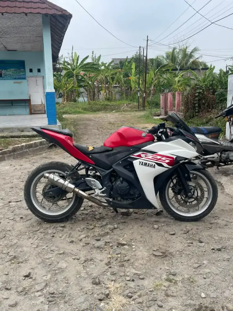 R25 old ver1 Standart