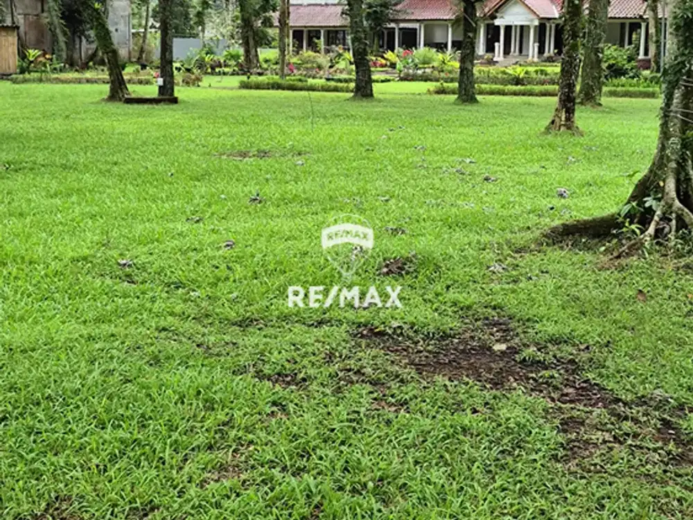 DIJUAL Aset KOMERSIAL LANGKA Di CISARUA Puncak.