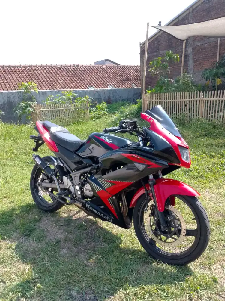 Ninja rr new 2013