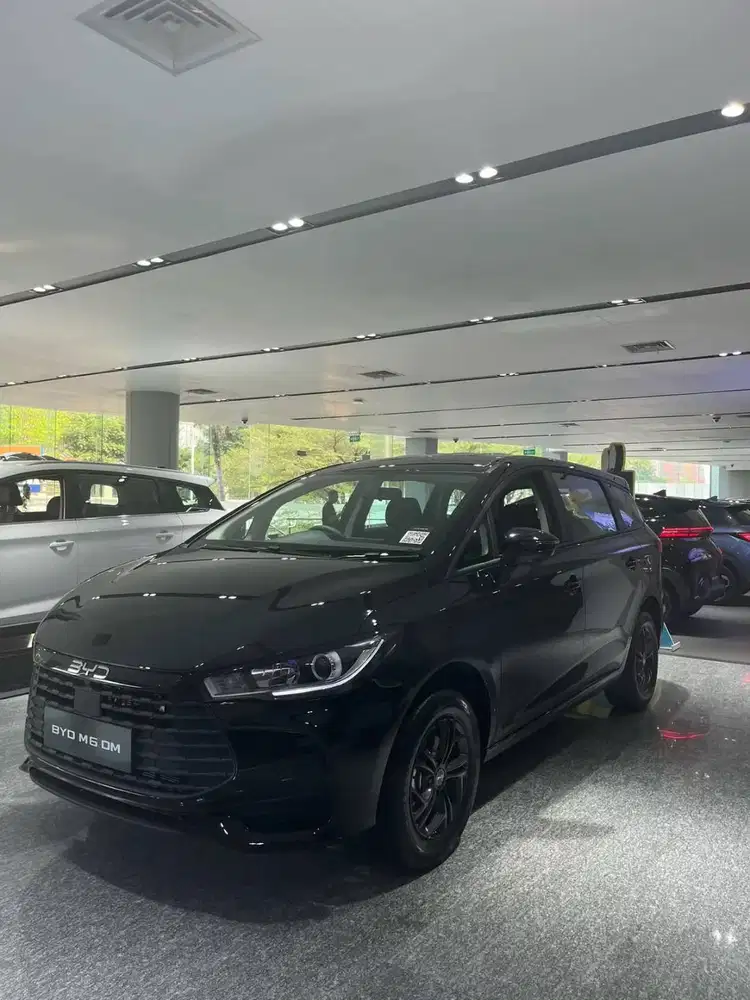 byd m6 dm classic dynamic 2026