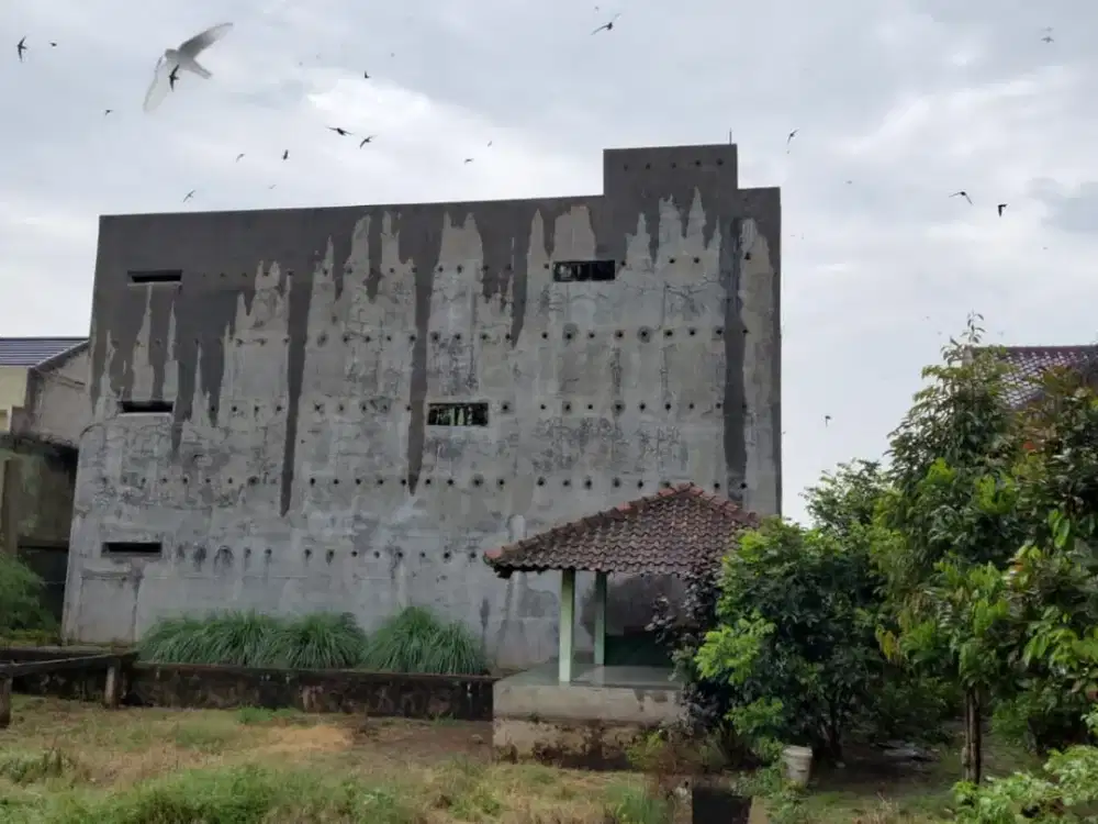 Dijual Ruko Sarang Walet Masih Aktif - Depok