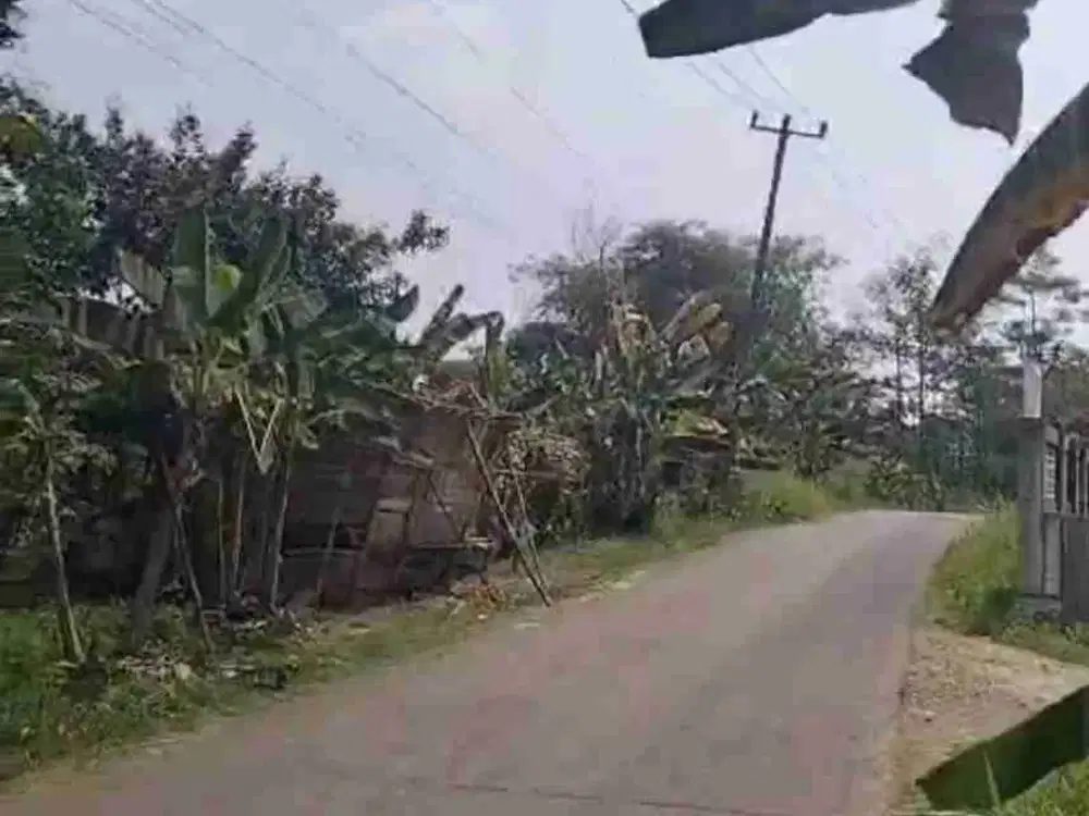 tanah jona kuning Buat investasi / perumhan di cibeber leuwiliang bogor barat