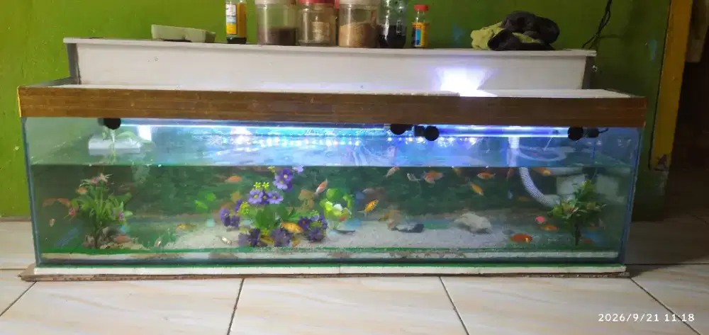aquarium fullset