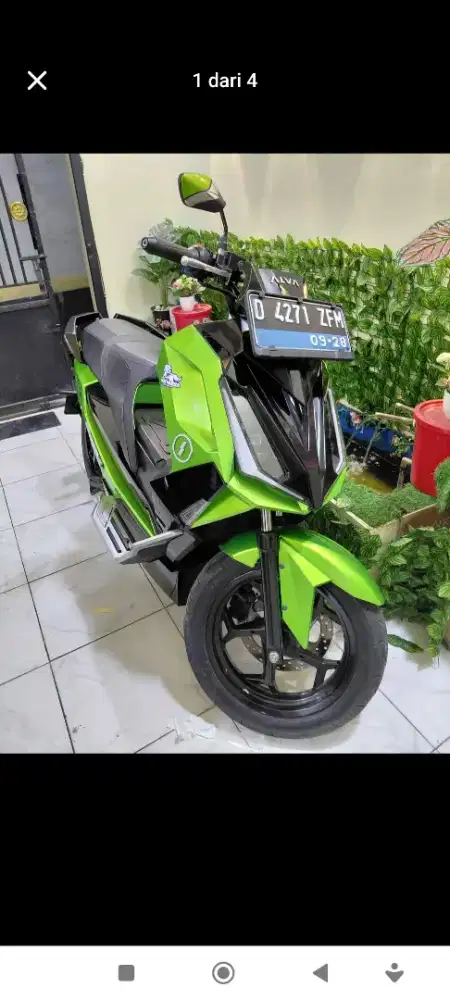 Alva cervo no minus siap pakai