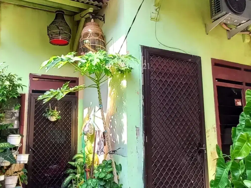 Rumah Bebas Banjir Dekat Kampus Di Kayu Putih S7990