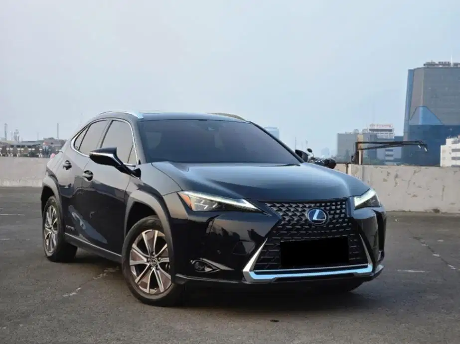Lexus UX300e 2022 (#UX 300e)