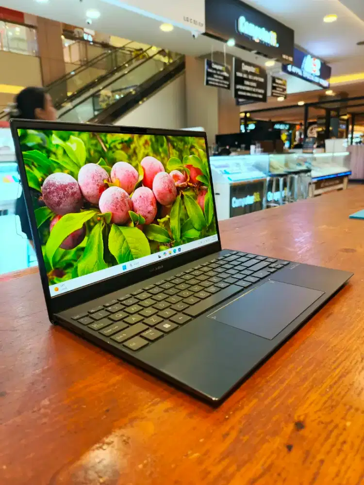 ASUS ZENBOOK UX325UA