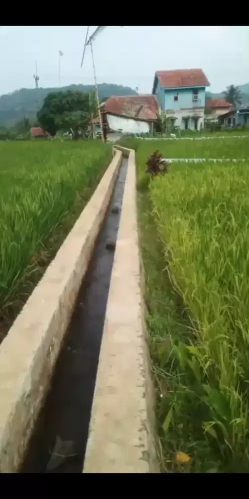 Jual Lahan Sawah di Kuningan — Potensi Bagus, Lingkungan Aman