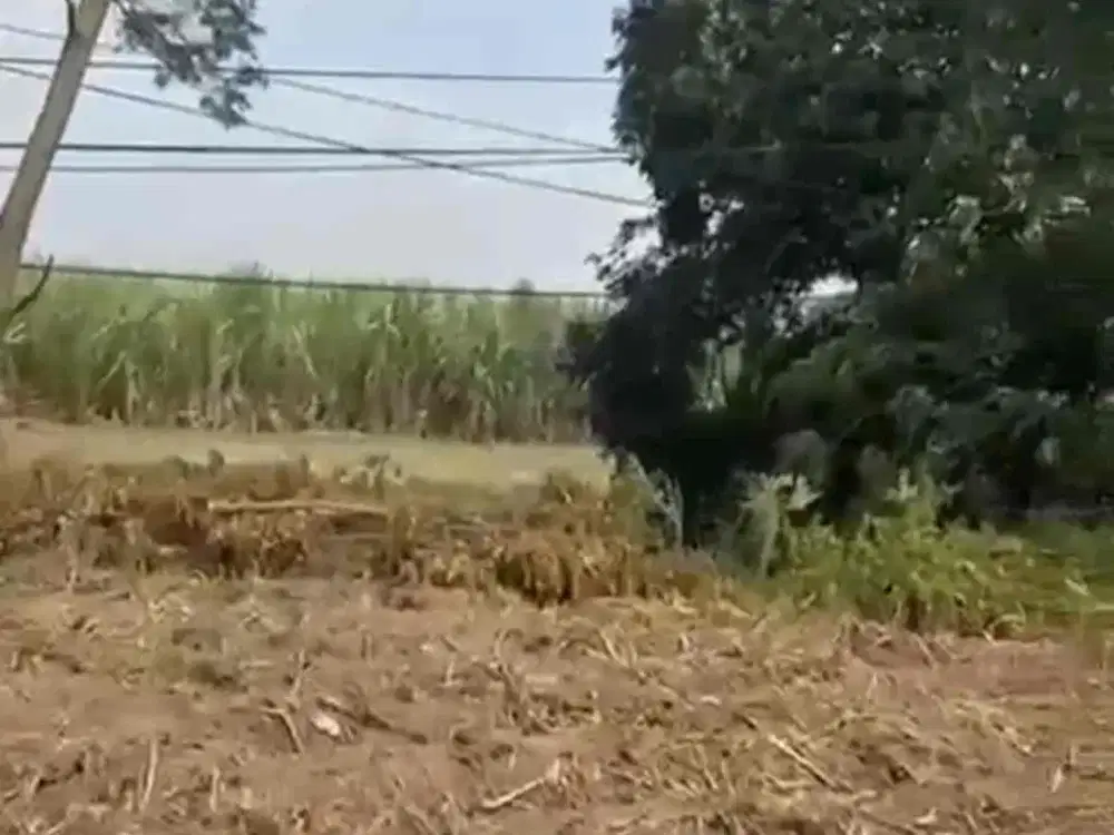 Sumberagung Mojokerto Tanah Industri