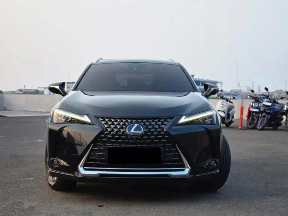 Lexus UX300e 2022 (#UX 300e)