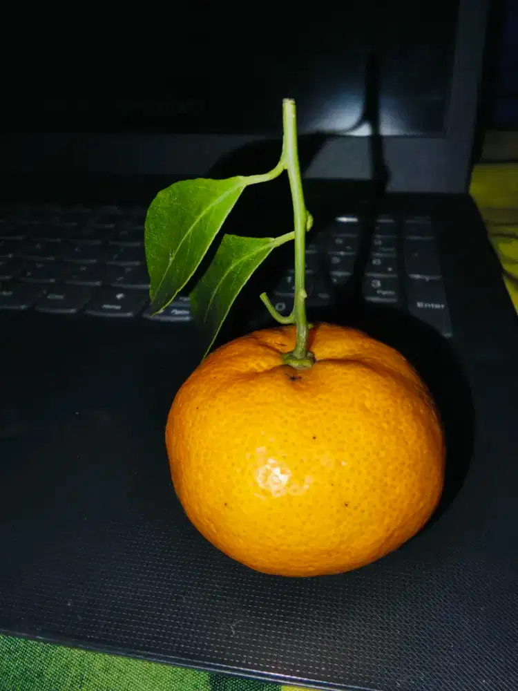Jual leptop lenovo