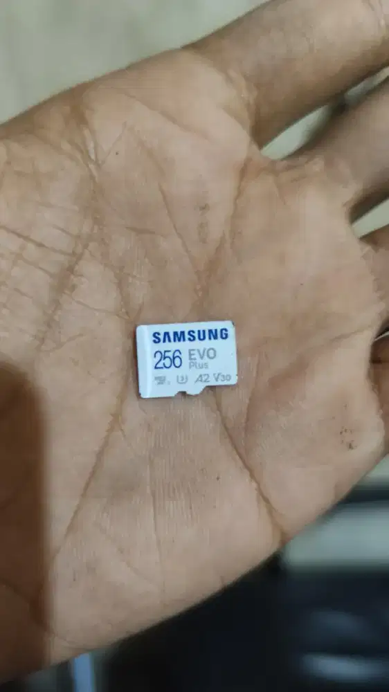 Micro SD 256GB Samsung 256GB Microsd 256GB Class 10