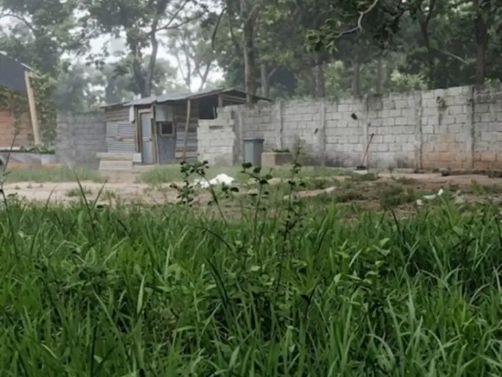 Investasi Lahan Industri Jembe Daru, Harga Menarik!