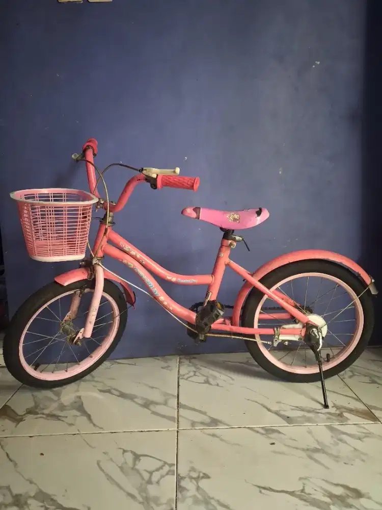 Sepeda anak merek centrum
