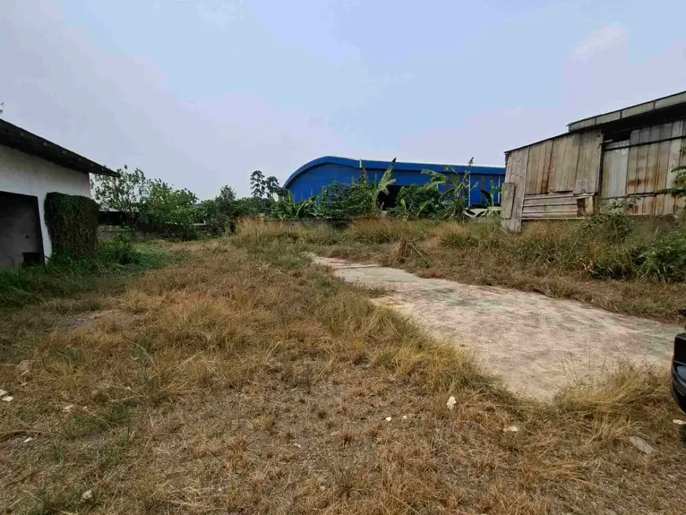 Lahan disewakan