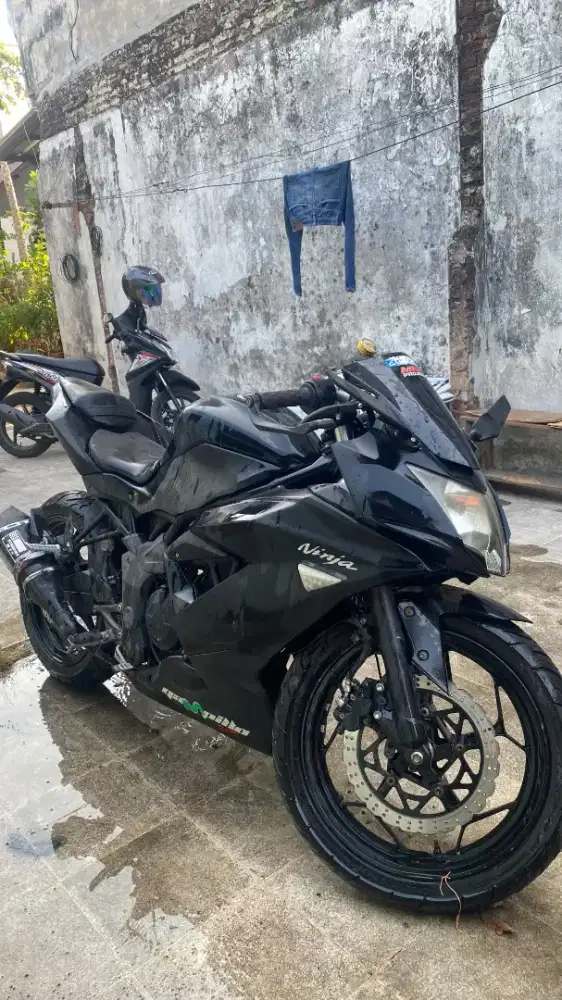 Kawasaki Ninja 250 mono