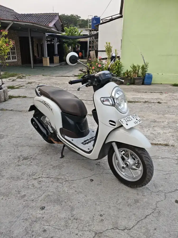 HONDA SCOOPY STYLISH