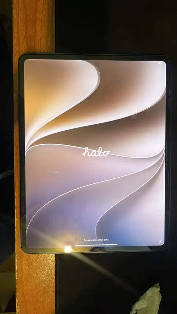 Ipad pro m4 13 inch