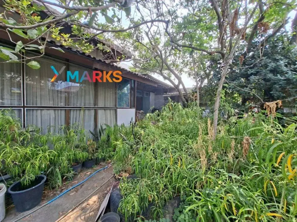 RUMAH ASRI DENGAN GREENHOUSE & HALAMAN SUPER LUAS DI KLODRAN COLOMADU – HANYA 3 MENIT KE PINTU TOL