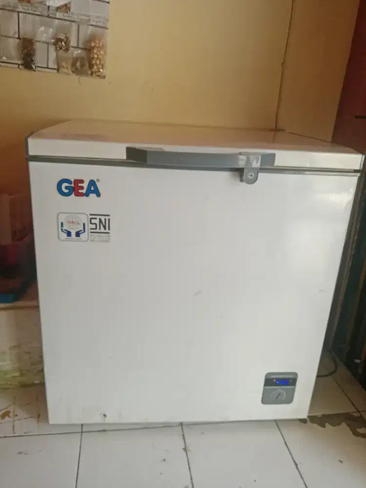 Frizer merk gea 210 l