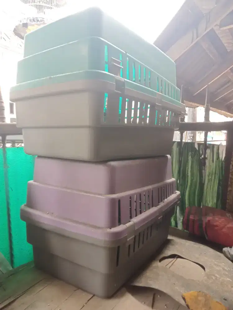 Dua box bawa kucing